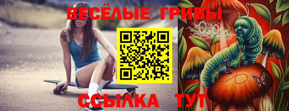 хочу   Псилоцибиновые грибы Psilocybe  Вход с VPN  Сокол 